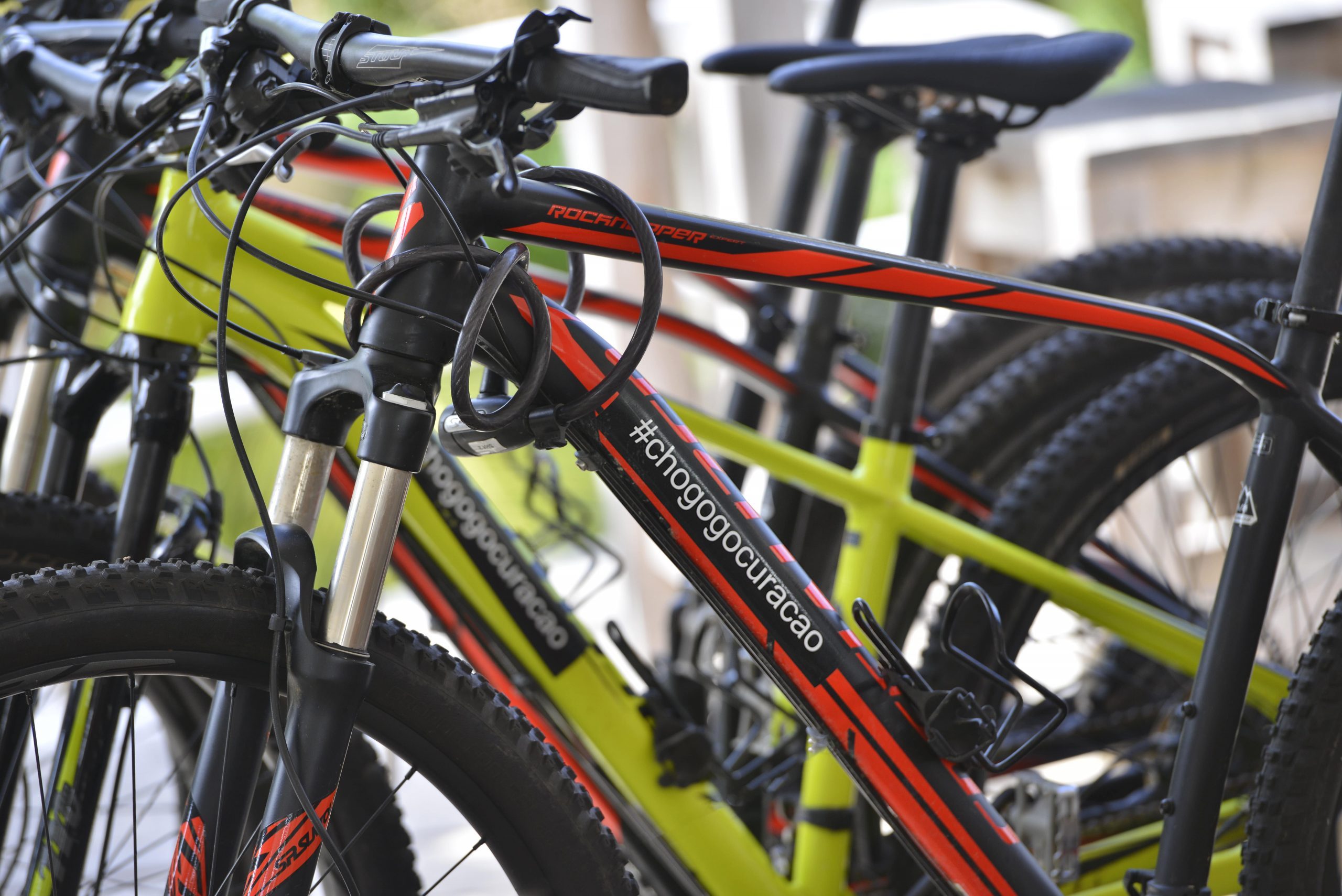 High quality mountain bikes for rent at the Chogogo bike rental.
